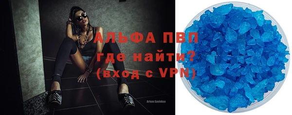 PSILOCYBIN Елабуга