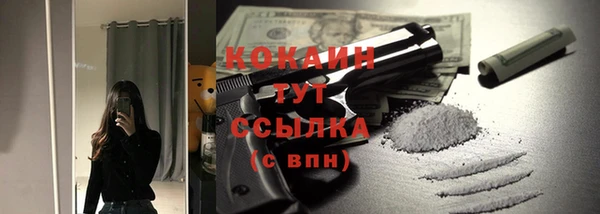 PSILOCYBIN Елабуга