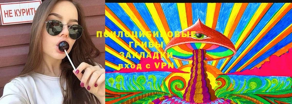 PSILOCYBIN Елабуга