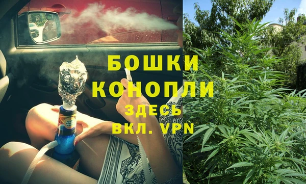 PSILOCYBIN Елабуга