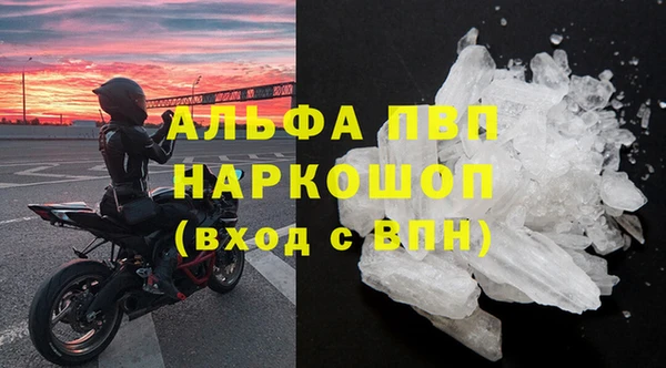 PSILOCYBIN Елабуга